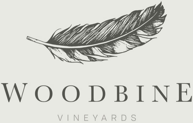 Woodbine Winery